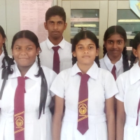 Web Development Team 2024